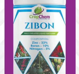 ZIBON