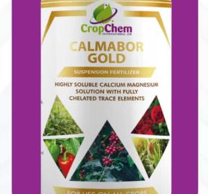 CALMABOR GOLD
