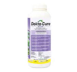 DOKTA CURE 250EW