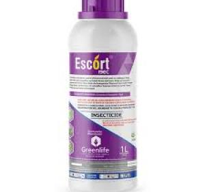 ESCORT® 19EC